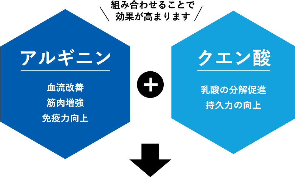 組み合わせることで 効果が高まります アルギニン 血流改善 筋肉増強 免疫力向上 クエン酸 乳酸の分解促進 持久力の向上