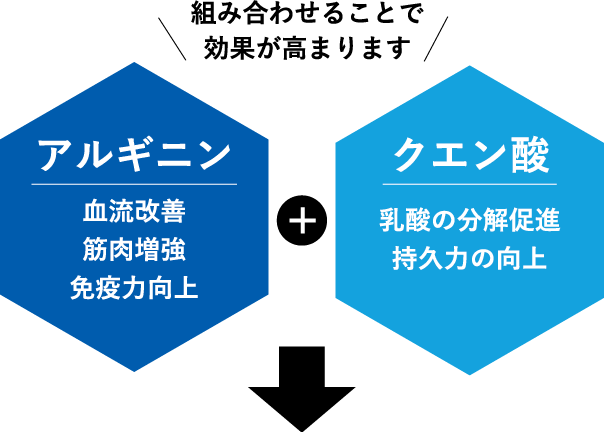 組み合わせることで 効果が高まります アルギニン 血流改善 筋肉増強 免疫力向上 クエン酸 乳酸の分解促進 持久力の向上